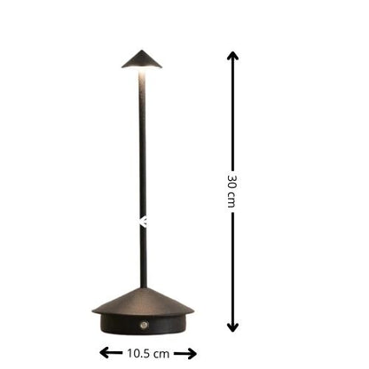 caracteristiques lampe noire a poser