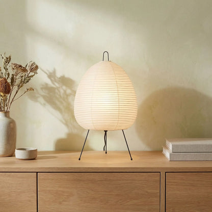 meuble bois livres fleurs sechees lumiere grande lampe a poser