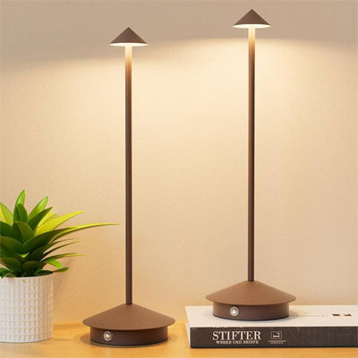 mur blanc plante livre lampe noire a poser